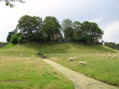 geografisch_gebied_punt Thumbnail