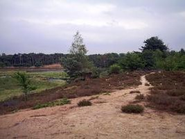 geografisch_gebied_vlak Thumbnail
