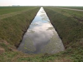 waterdeel_lijn Thumbnail